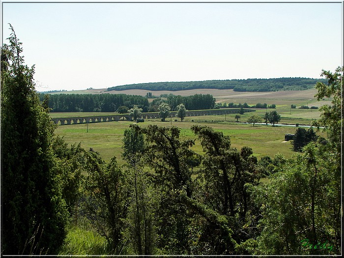 Dans la Forêt de Dreux 20070804_010