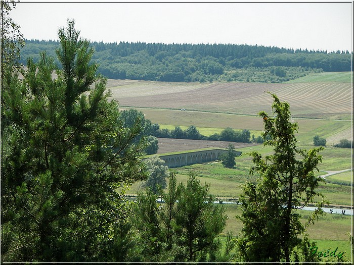 Dans la Forêt de Dreux 20070804_013