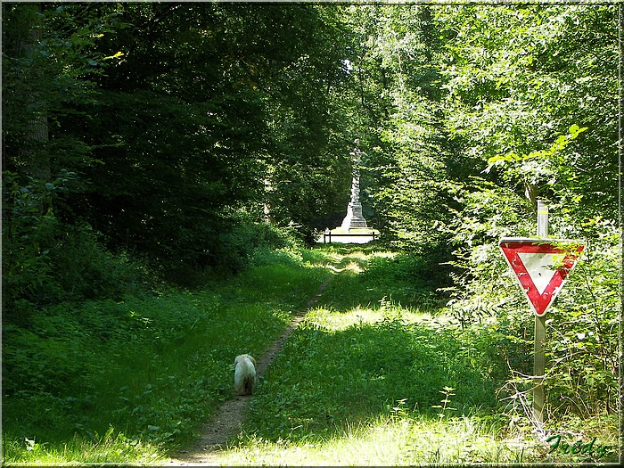 Dans la Forêt de Dreux 20070804_035