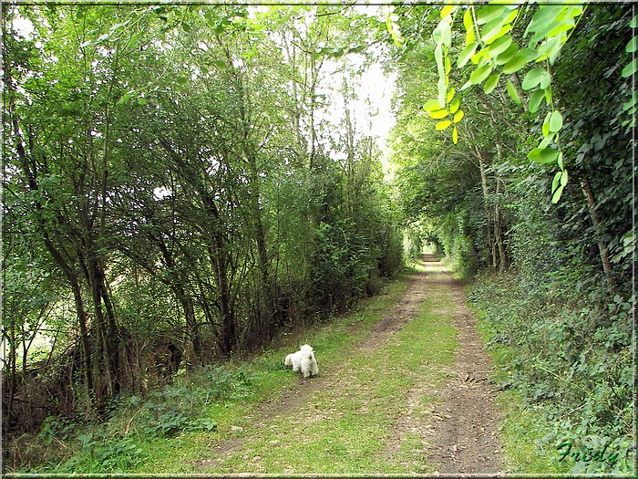 Breux sur Avre 20070817_010