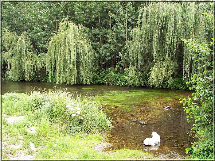 Breux sur Avre 20070817_024