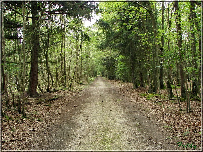 Breux sur Avre 20070817_045