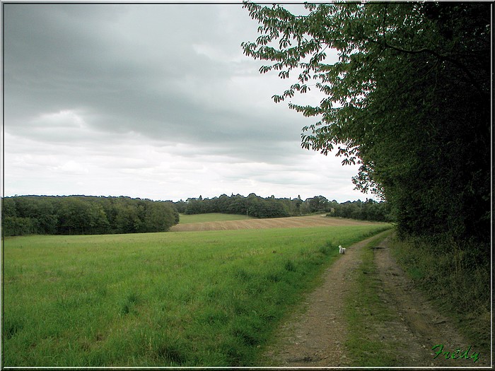 Breux sur Avre 20070817_049