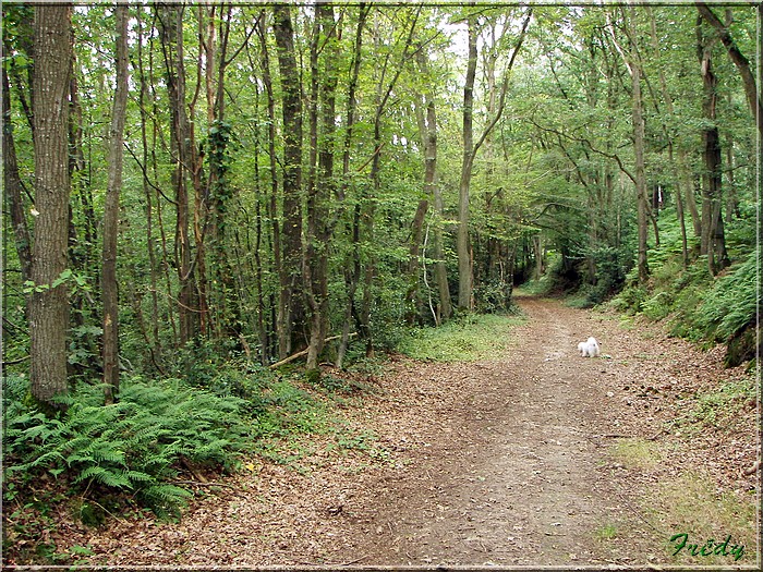 Breux sur Avre 20070817_058