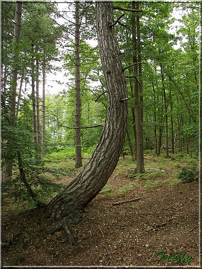 Breux sur Avre 20070817_071