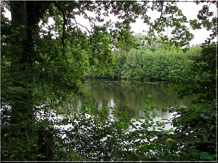 De Senonches à l'Etang de la Benette 20070901_059