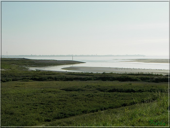 Baie de Somme, premier jour 20070908_009