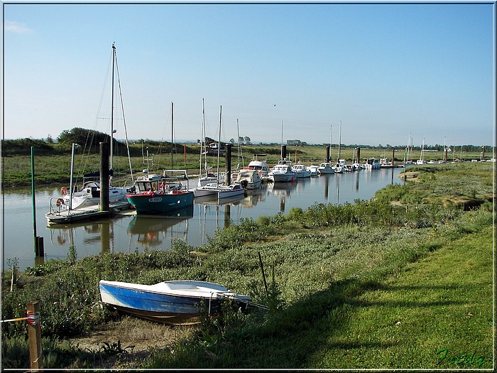 Baie de Somme, premier jour 20070908_017