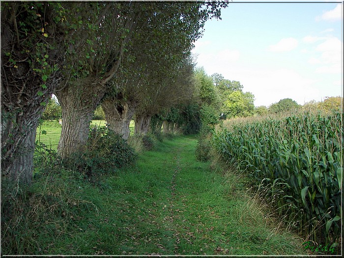 Les cloches de Corneville 20070916_013