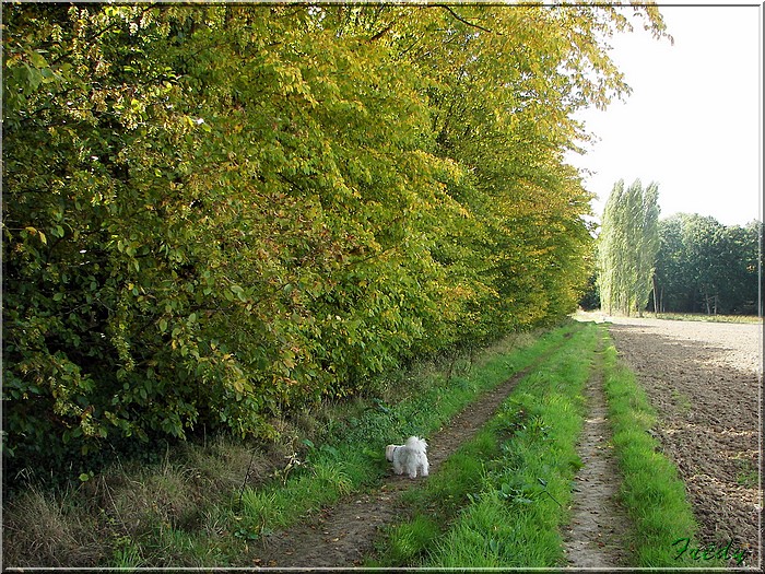 Le Champ de Bataille 20070921_012