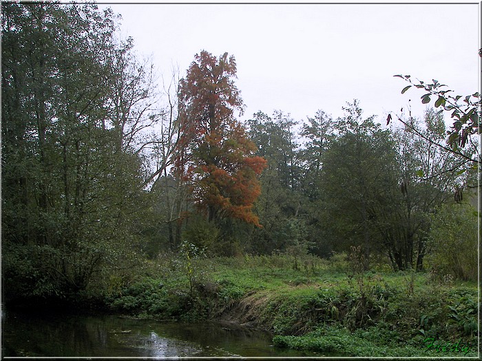 Gouville et Chambray 20071028_007