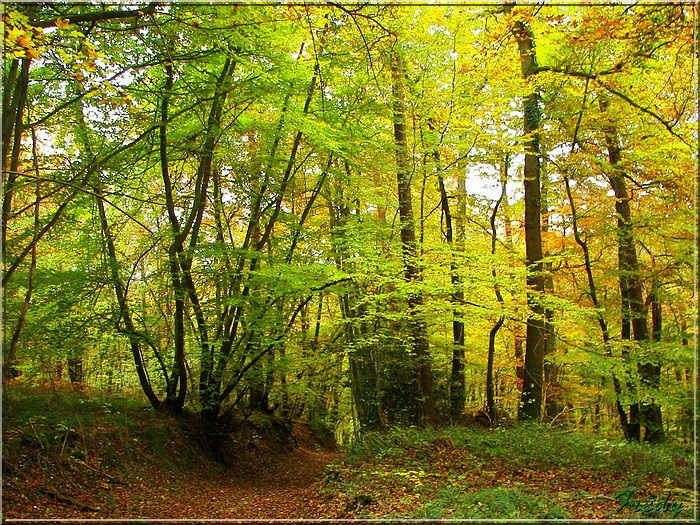 Vallée Comette 20071101_047