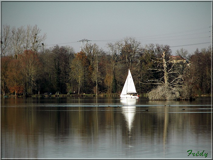 A l'étang de Mézières-Ecluzelles 20071117_045