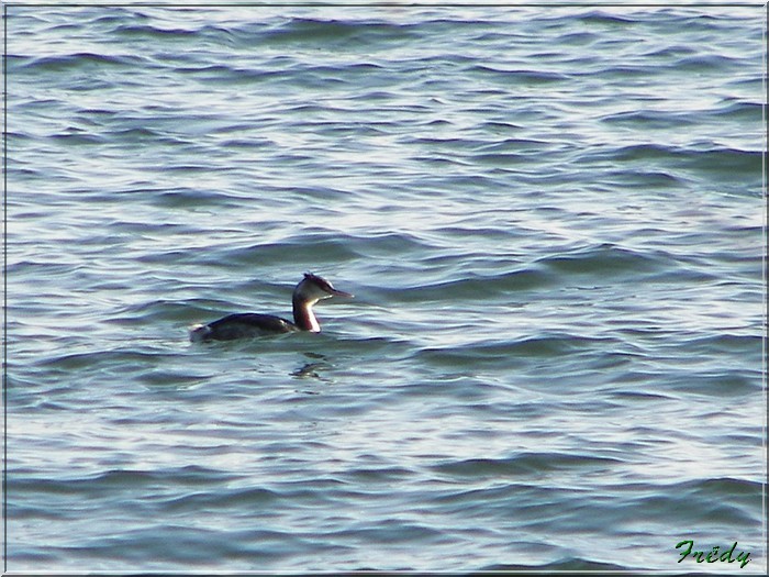 Poses et le Lac des Deux Amants 20071201_052