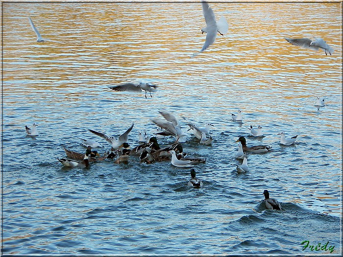 Poses et le Lac des Deux Amants 20071201_056