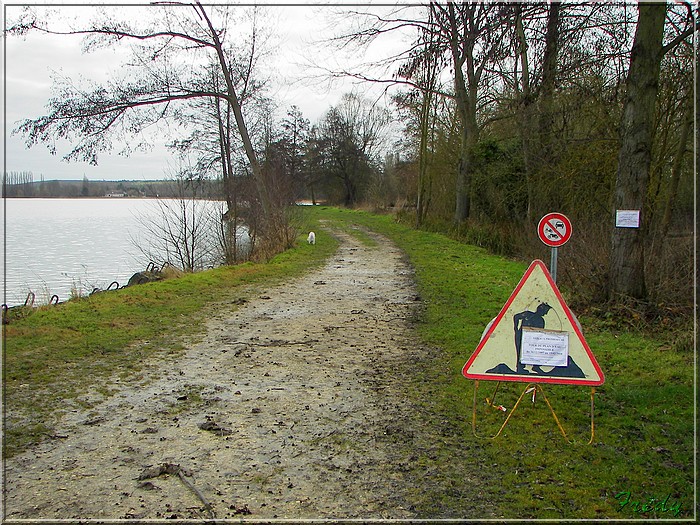 Au lac de Mézières et rencontre de Goliath 20080119_001