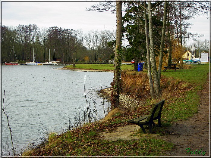 Au lac de Mézières et rencontre de Goliath 20080119_014