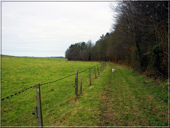 La Gaudrée 20080120_003