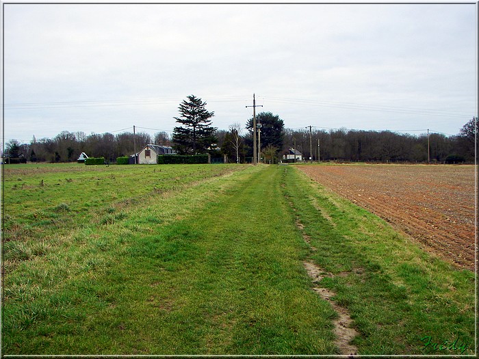 La Gaudrée 20080120_010