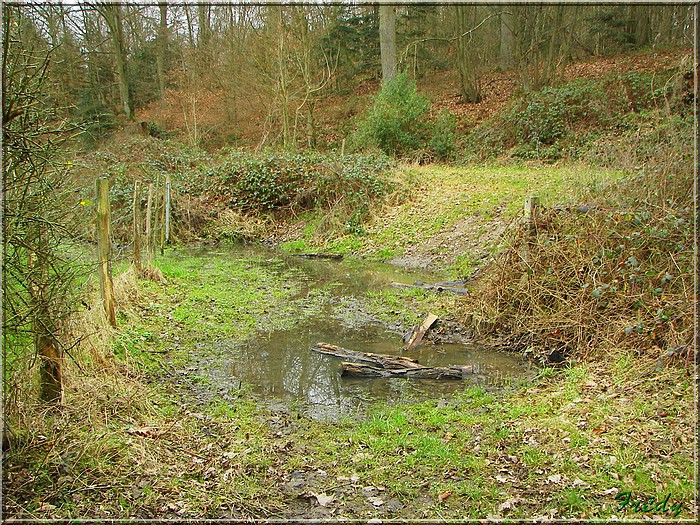 La Gaudrée 20080120_036