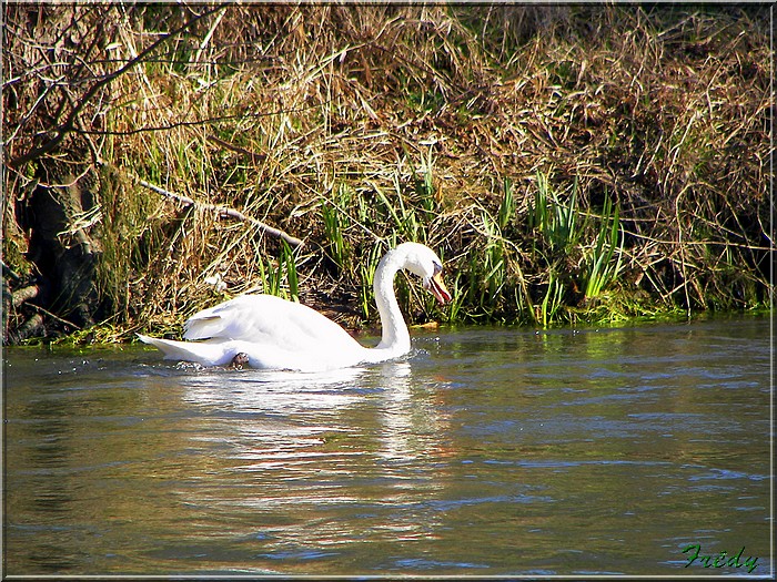 Les sentiers de Val de Reuil 20080217_014