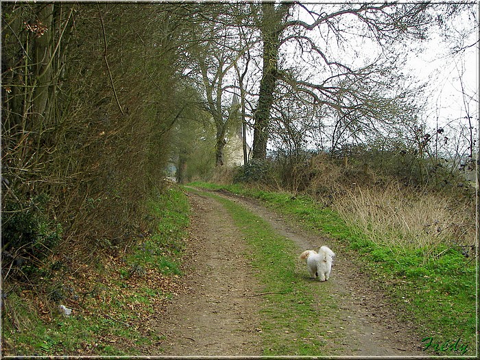 Acon et Breux sur Avre 20080307_053