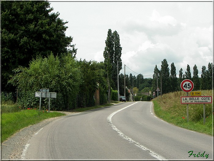 La Forêt de Rosny 20080615_011