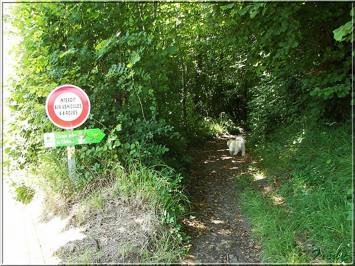 Bailleul La Vallée, le chemin de l'Abbesse 20080626_006