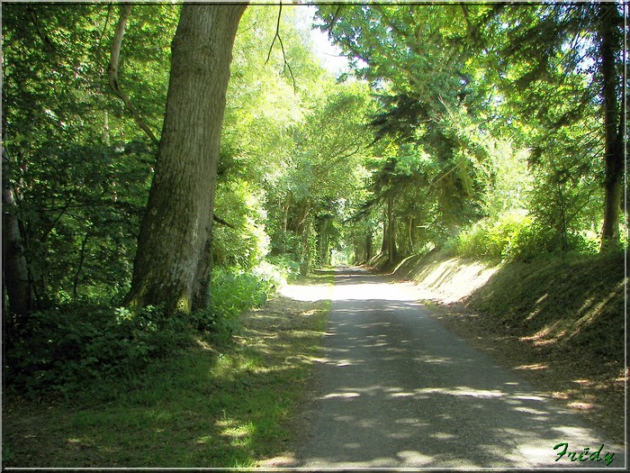 Bailleul La Vallée, le chemin de l'Abbesse 20080626_012