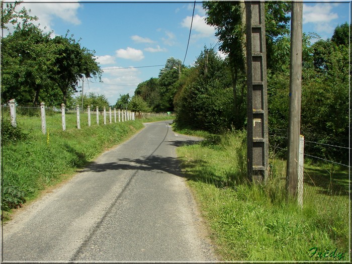 Bailleul La Vallée, le chemin de l'Abbesse 20080626_033