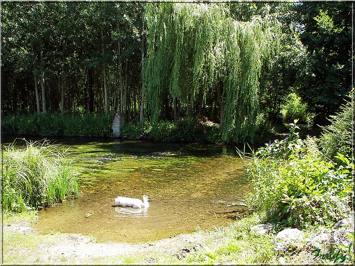 Entre Acon et Breux 20080630_060