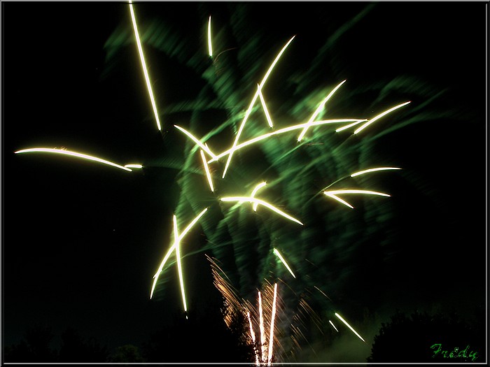 Irez-vous au feu d'artifice ? 20080713_027