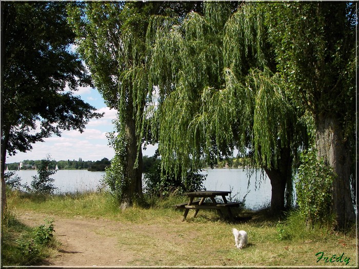 Mézières-Ecluzelles 20080714_082