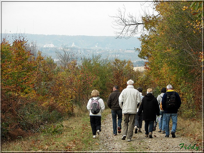 Les Brûlins, forêt de Bord-Louviers 20081030_004