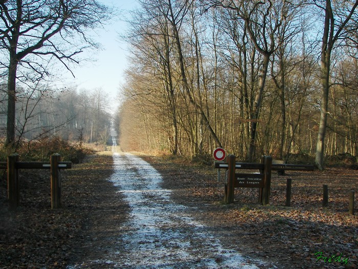 rando foret de louviers 20090110_002