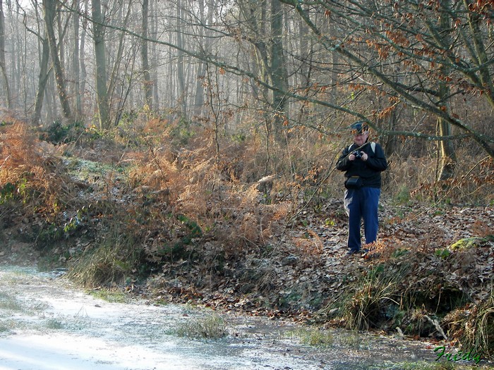 rando foret de louviers 20090110_020