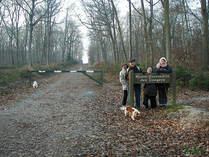 rando foret de louviers 20090110_028