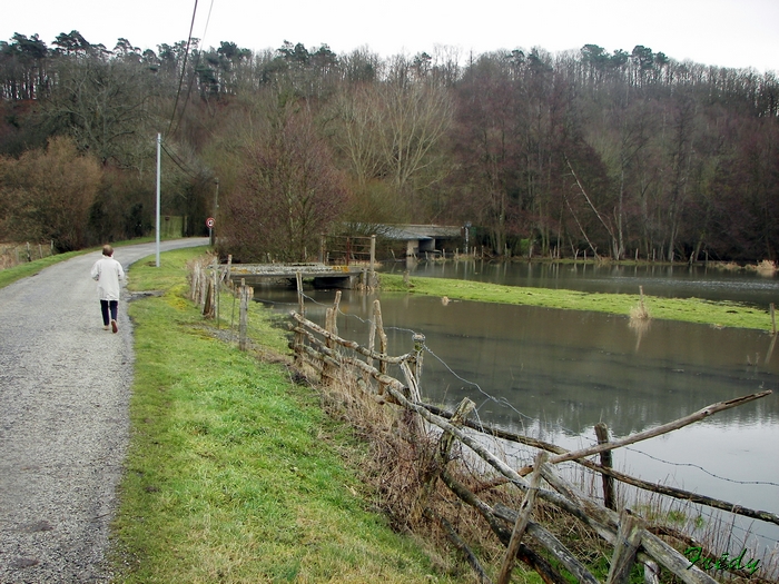 D'Acon à Breux, avec Annie et Danver 20090124_004