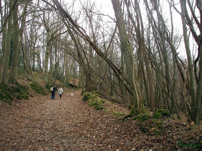 D'Acon à Breux, avec Annie et Danver 20090124_005