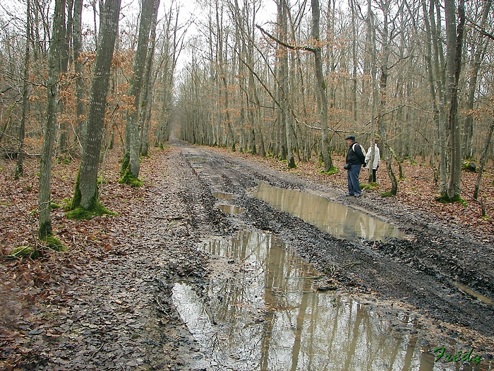 D'Acon à Breux, avec Annie et Danver 20090124_015