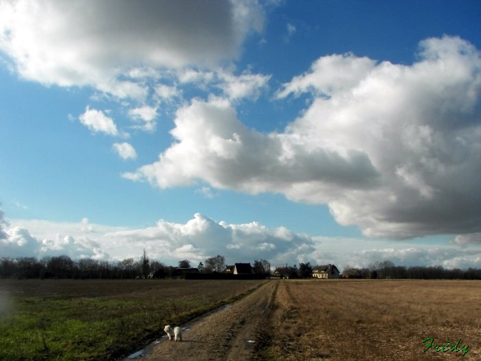 Circuit de Normanville, en groupe 20090211_009