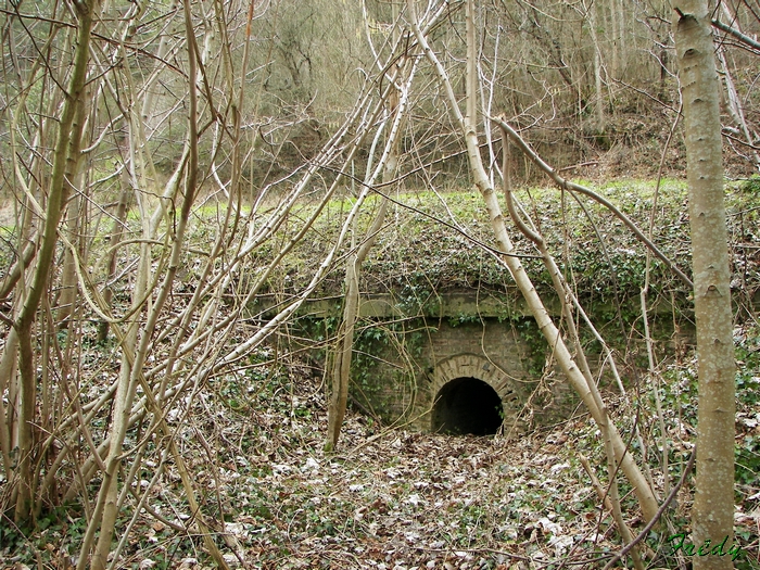 Les étangs d'Acquigny, dernière avec Robert 20090219_039