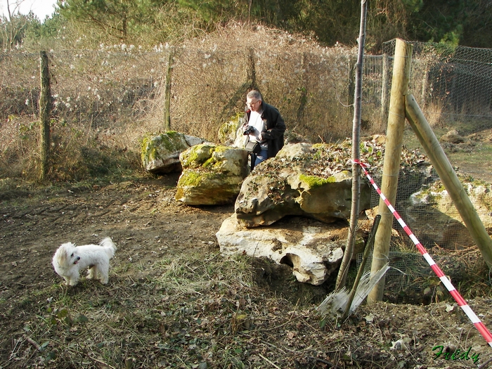 Le circuit de Fourges, à contresens, avec Annie et Danver 20090228_040