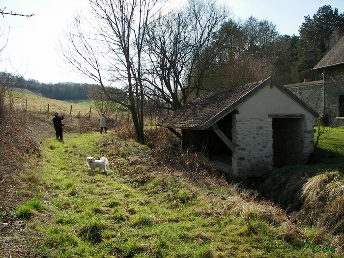 La Vallée de la Taupe, avec Annie et Danver 20090306_009