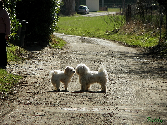 La Vallée de la Taupe, avec Annie et Danver 20090306_036