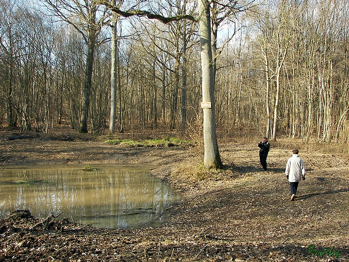 La Vallée de la Taupe, avec Annie et Danver 20090306_075