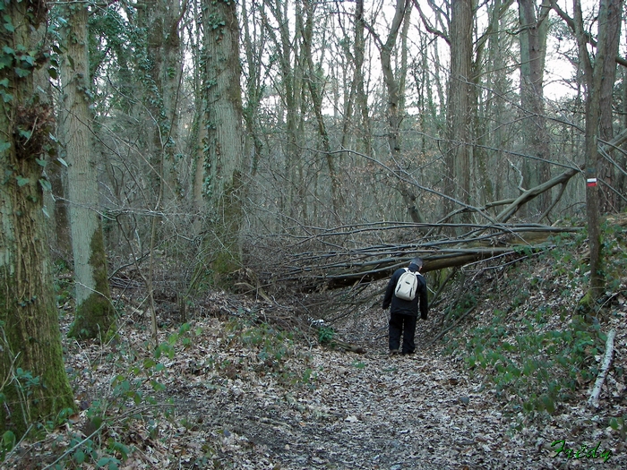 La Vallée de la Taupe, avec Annie et Danver 20090306_089