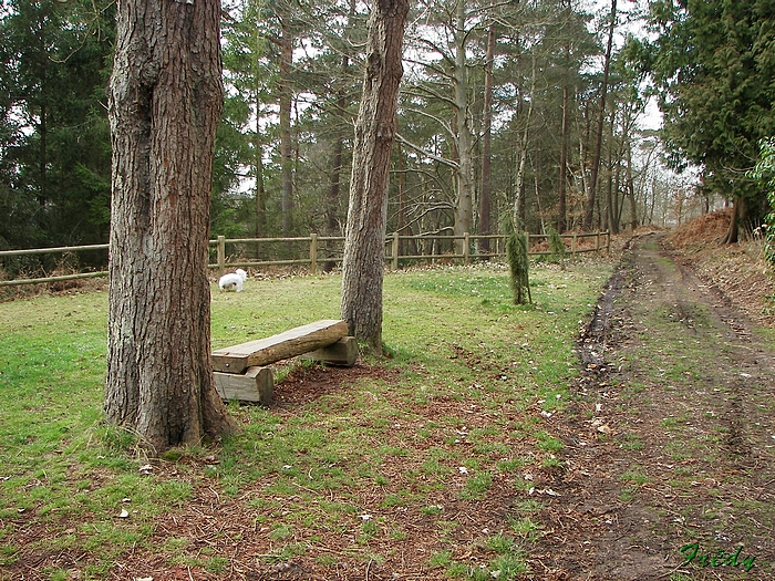 Parc PArissot, avec Annie et Danver 20090314_057