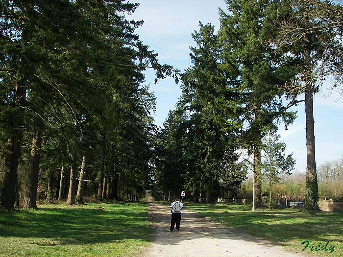 Beaumesnil, avec Danver 20090316_016