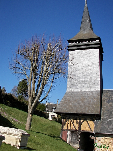 Notre Dame du Hamel, balade du Bois Hibou 20090320_004